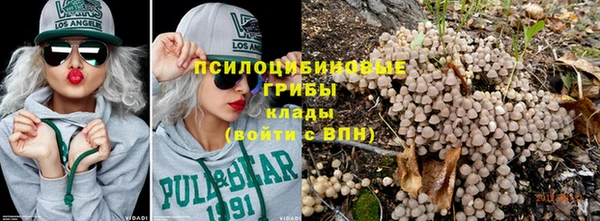 прущие грибы Алексин
