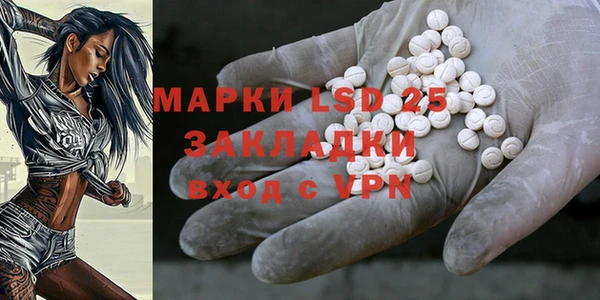 прущие грибы Алексин